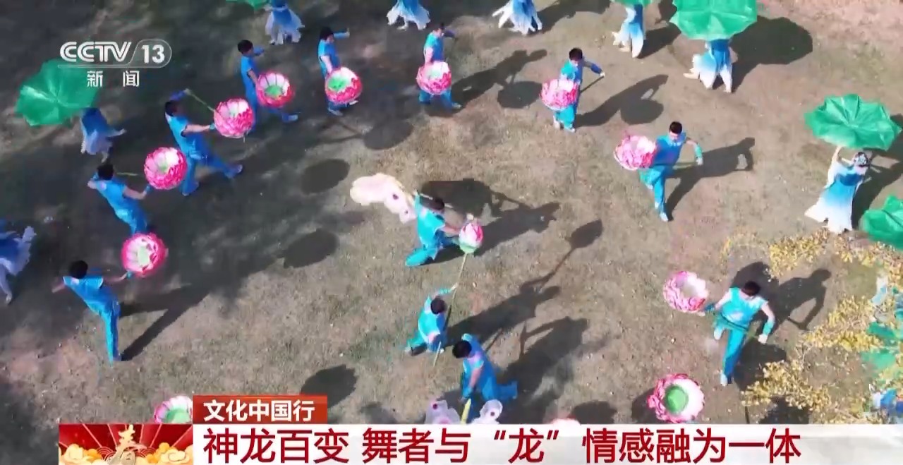 龙、百叶龙……来看不拘一格的龙舞之美不朽情缘首页文化中国行丨火龙、板凳(图6)