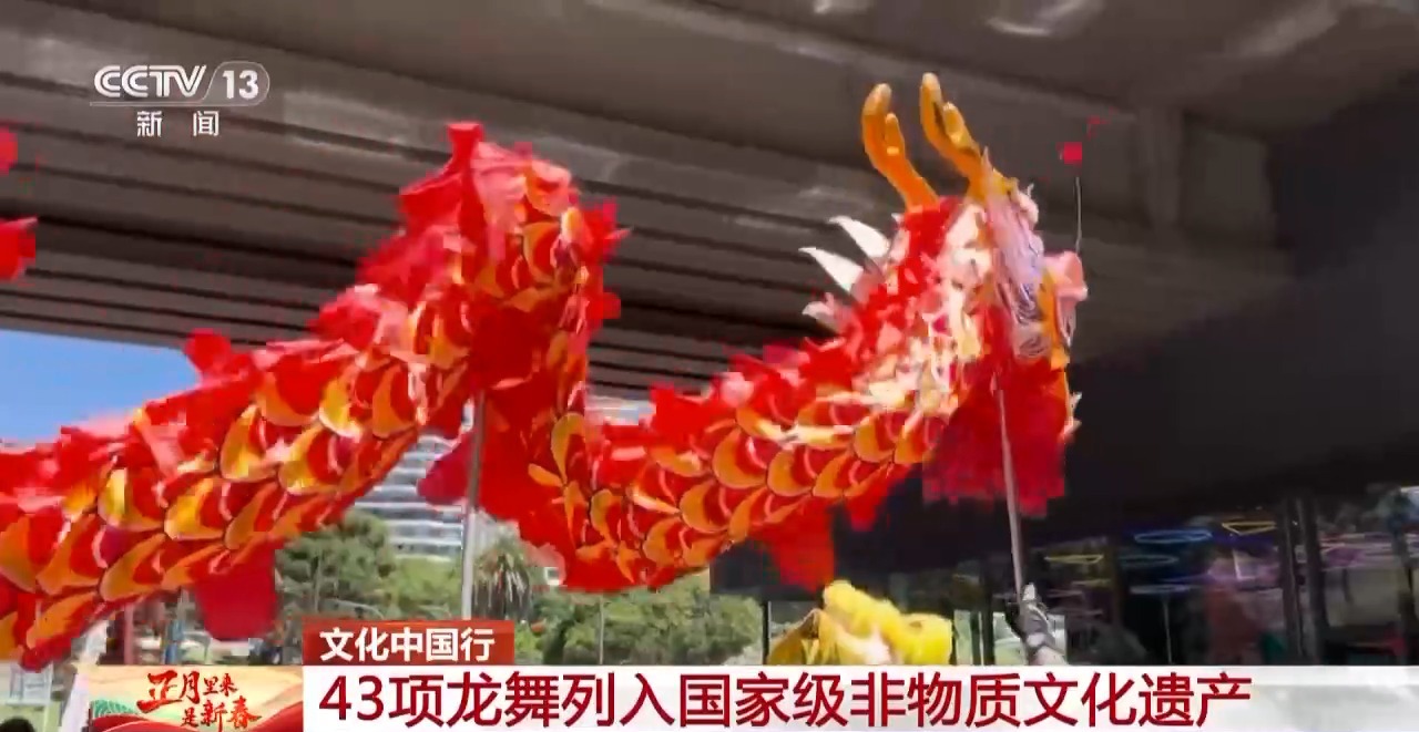 龙、百叶龙……来看不拘一格的龙舞之美不朽情缘首页文化中国行丨火龙、板凳(图8)