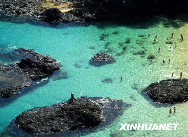 尔南多—迪诺罗尼亚岛不朽情缘首页美丽的费